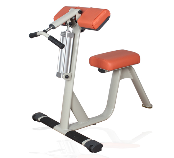 BFT6003 女生二头肌/三头肌训练器 广州健身器材水蜜桃网站在线观看大图展示1