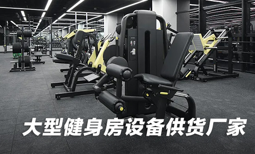 大型健身房设备供货水蜜桃网站在线观看